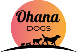 Ohana Dogs - kolor