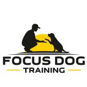 focus dog training